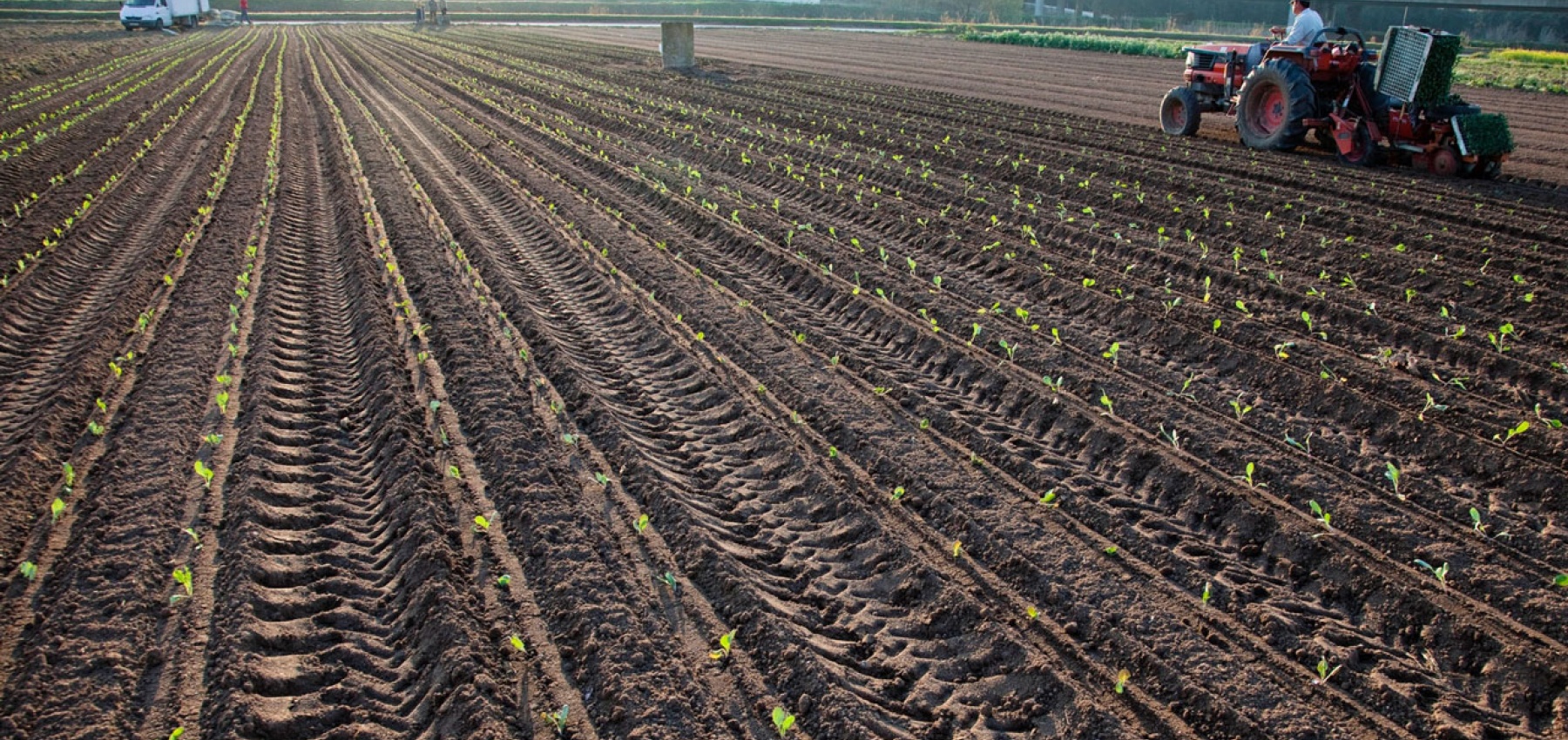 A política alternativa e a resposta às necessidades do povo português: soberania alimentar, produção e emprego