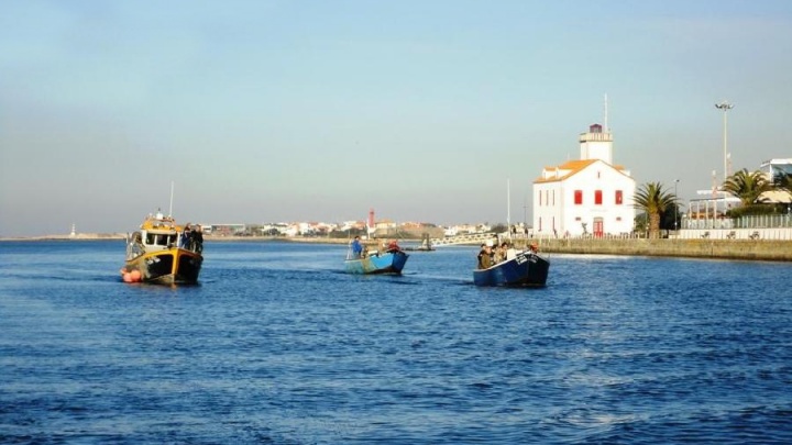 O desastre do governo PSD/CDS nas pescas, confirmado pelo INE