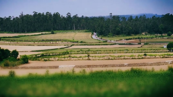 PCP no Parlamento Europeu propõe alterações à futura Política Agrícola Comum 