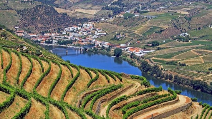 10º Aniversário do Alto Douro Vinhateiro: Património da Humanidade