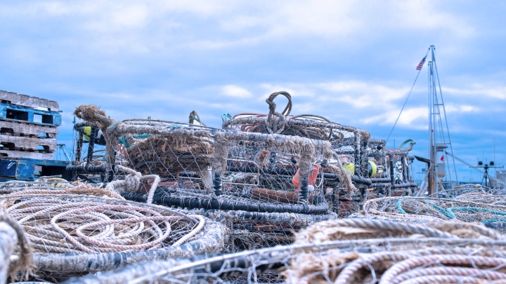 Impactos das tempestades reclamam necessidade urgente de apoios da UE à pesca  artesanal e costeira em Portugal