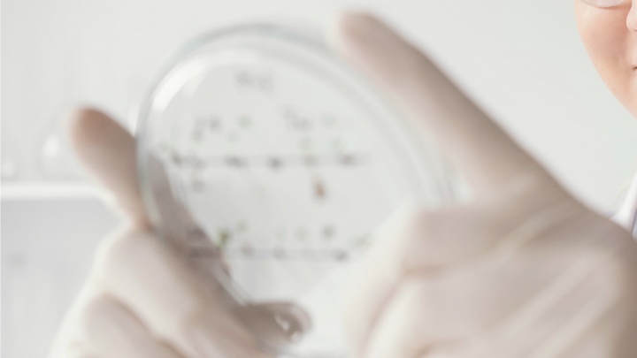 Ciência tem de ser sinónimo de progresso, coesão e direitos sociais