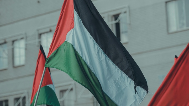 Pedido de Sessão Plenária extraordinária do Parlamento Europeu sobre a situação na Palestina