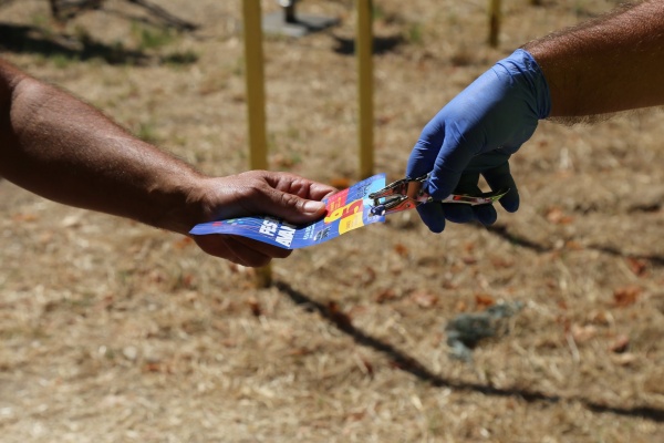 “Avante!” Festival 2020