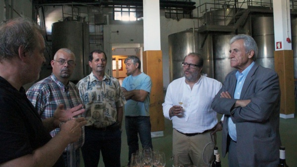 Visita à Adega da Cooperativa Vitivinícola da Ilha do Pico