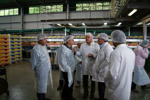 GESBA – Empresa de Gestão do Sector da Banana, Funchal