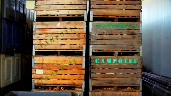 Visita a exploração agrícola e encontro com a Direcção da Louricoop Lourinhã