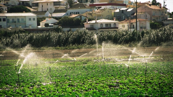 Visita a exploração agrícola e encontro com a Direcção da Louricoop Lourinhã